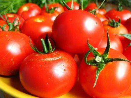 Как облегчить выращивание помидоров в открытом грунте? - фото