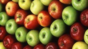 Сорта яблонь Фото разных сортов - фото