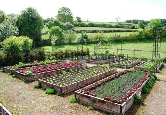 Схема правильного планирования огорода для посадки овощей - фото