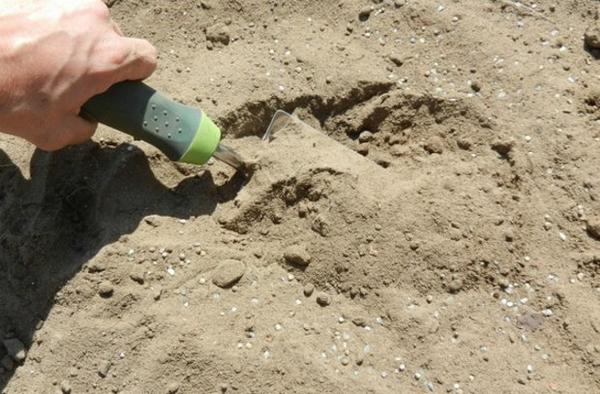 Как делать плодородную землю из песка: пошаговая инструкция