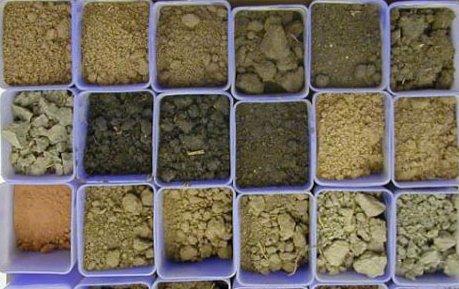 Система удобрения для разных почв: внесение и дозы - фото