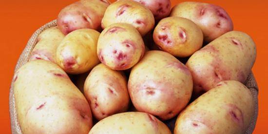 Ранний картофель: основные рекомендации по выращиванию - фото