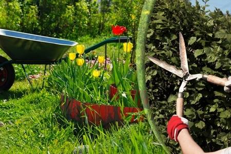 Садовые ножницы  как сделать сад ухоженным и красивым с фото