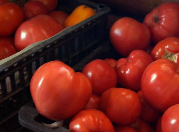 Способы длительного хранения помидоров - фото