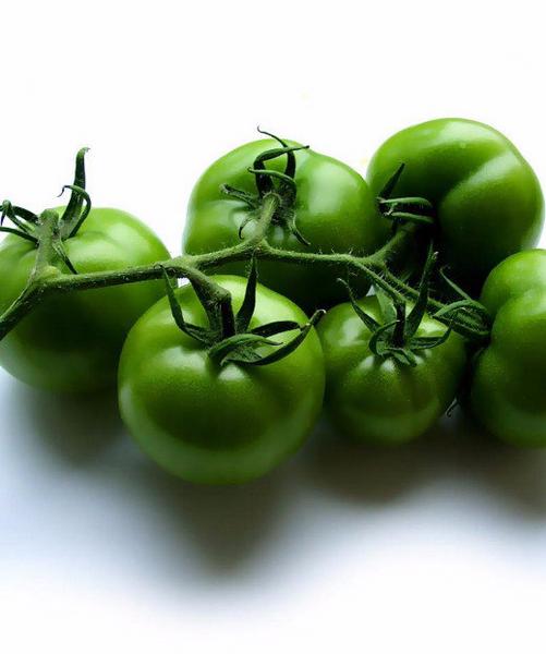 Как заквасить зеленые помидоры в бочке - фото